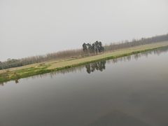 -稻香村鱼庄