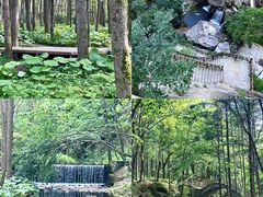 -洛阳白云山景区