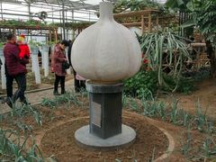 -兰陵国家农业公园