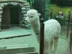 -太奥幻太奇海洋馆
