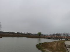 -春花秋色城市公园