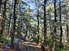 -苍山感通索道