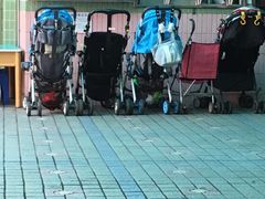 -广州市荔湾区育星和平幼儿园