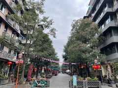-泡桐树街