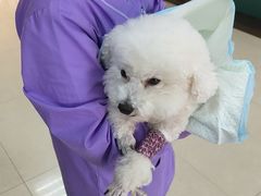 -康旭宠物医院(郑州总院)