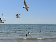 -老虎石海上公园