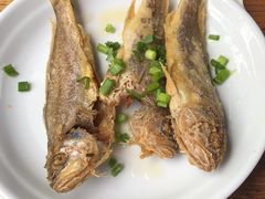 -小河无名面馆