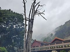 -灵光寺