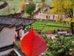 -塔川景区