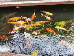 -侠成水上农庄(工业大道店)