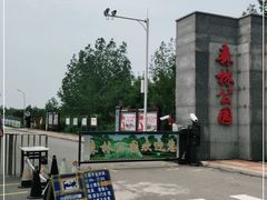 -塘沽森林公园