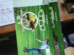-西双版纳原始森林公园