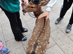 -成都欢乐谷