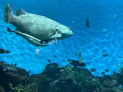 -鹿儿岛水族馆