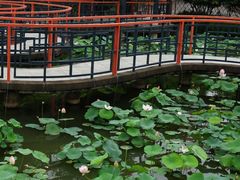 -纪念孙中山市政公园