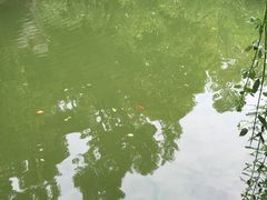 -杭州西湖风景名胜区-三生石