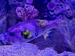 -成都浩海立方海洋公园