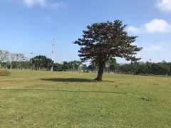 -万绿园