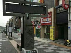 -汉拿树木园