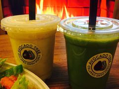 -油梨树 AVOCADO TREE(亮马桥店)