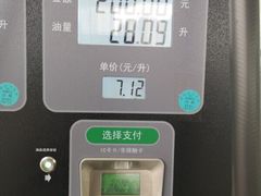 -中国石化金城加油站