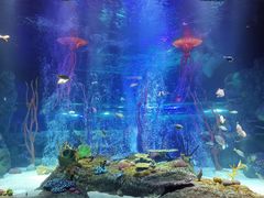 -沈阳海洋探索中心