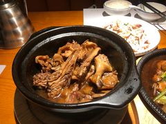 -宋小谨(惠安禹洲店)