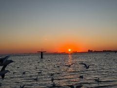 -老虎石海上公园