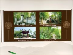 -大唐贡茶院