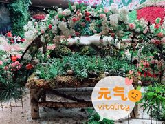 -花之城