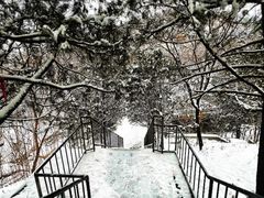 -白水寺森林公园