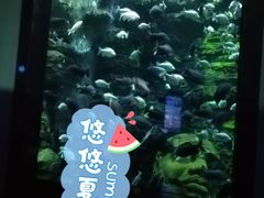 -成都浩海立方海洋公园