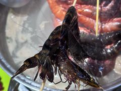 -养牛邓·潮汕牛肉海鲜自助火锅(广州店)