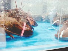 -盒马鲜生(王府广场店)