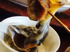 -顺德了能馆(虎门店)