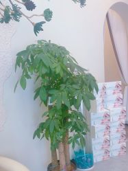 -卡尔诗·科技美肤连锁