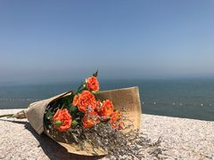 -小麦岛公园