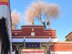 -小昭寺