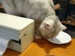 -研途咖啡馆(健康路店)