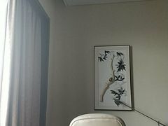 -斑斓西餐厅·自助茶点(高崎机场佰翔花园酒店)