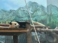 -武汉动物园