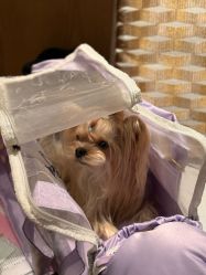 -baby bella小贝拉母婴护理中心(珠海希尔顿店)