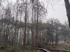 -杭州植物园