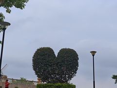 -东莞植物园
