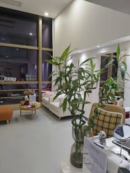 -JNK皮肤管理中心