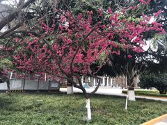 -西安交通大学(雁塔校区)
