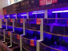 水产区-七欣天(浦东羽山乐坊店)