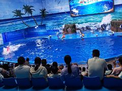 -多彩贵州城极地海洋世界