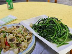 红薯叶-荔景渔庄