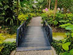 -南宫五洲植物乐园